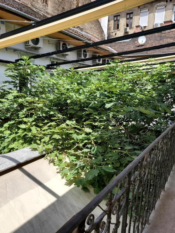 بودابست Klauzal19 Rooms المظهر الخارجي الصورة